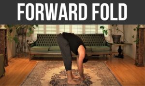 Forward fold - mobility - nextlevelwarrior.com