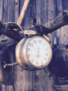 Rusty analogue alarm clock hanging on a branch | nextlevelwarrior.com