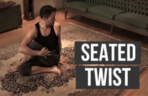 seateted twist - spine mobility - nextlevelwarrior.com