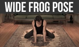 Mobility - wide frog pose - nextlevelwarrior.com