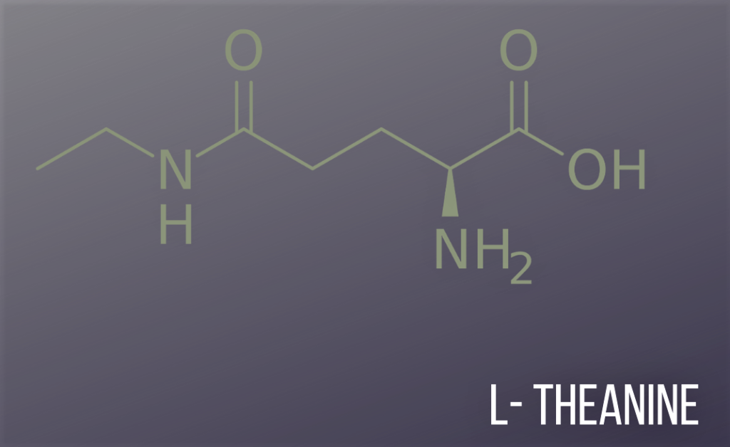 L Theanine - Molecule_ Why I never drink coffee without it | NextLevelWarrior.com